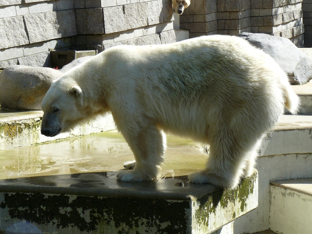 Boris und Jerka