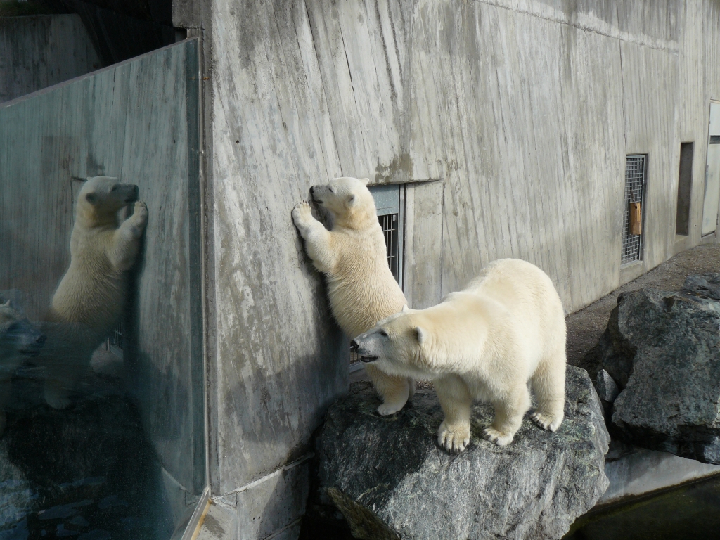 Wilbär und Corinna